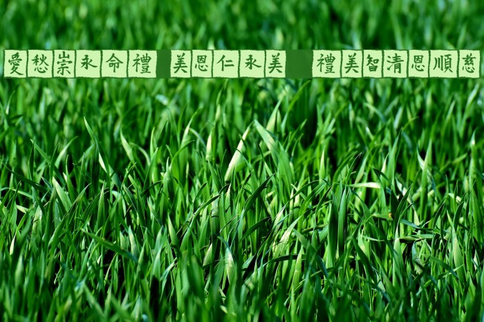 VTMeiOrnamentsOnBlack Example 3