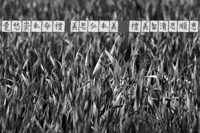 VTMeiOrnamentsOnBlack Font examples