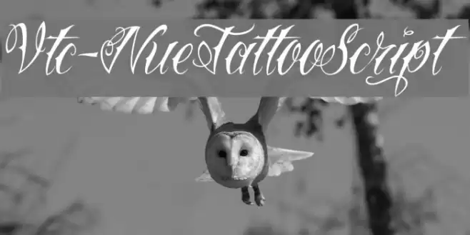 Vtc-NueTattooScript Font examples