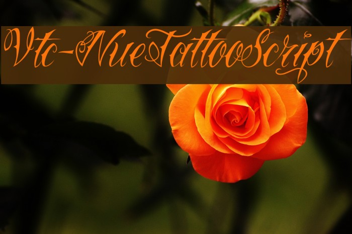 Vtc-NueTattooScript Font examples