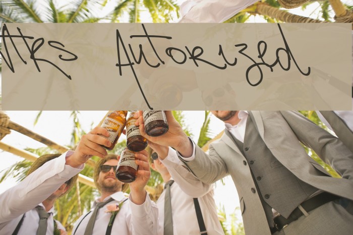 Vtks Autorized 2 Schriftart examples