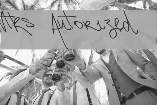 Vtks Autorized 2 Font examples