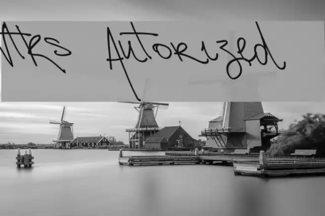 Vtks Autorized 2 Font examples