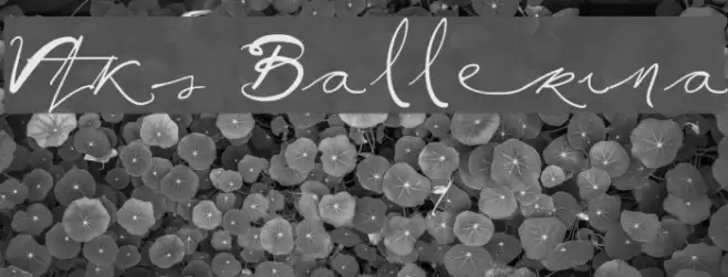 Vtks Ballerina Font examples