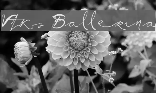 Vtks Ballerina Font examples