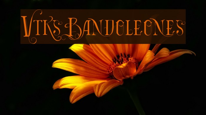 Vtks Bandoleones Шрифта examples
