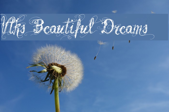 Vtks Beautiful Dreams Font examples