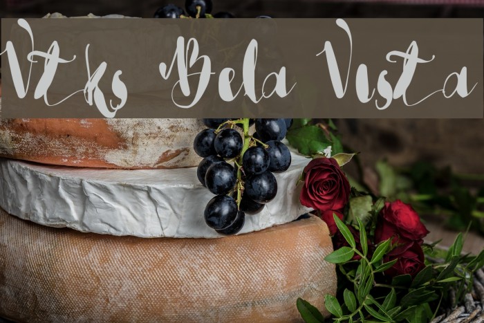 Vtks Bela Vista Font examples