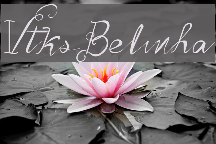 Vtks Belinha Example 1