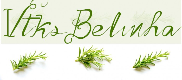 Vtks Belinha Example 3