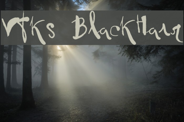 Vtks BlackHair Font examples