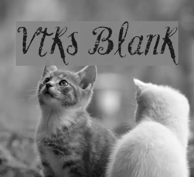 Vtks Blank Font examples