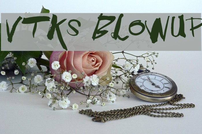 Vtks BlowUp Example 1