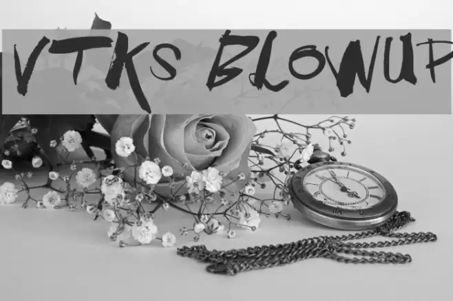 Vtks BlowUp Font examples