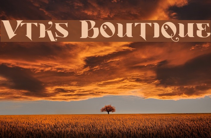 Vtks Boutique Font examples
