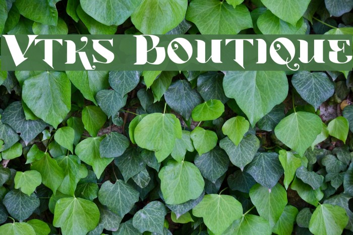 Vtks Boutique Font examples
