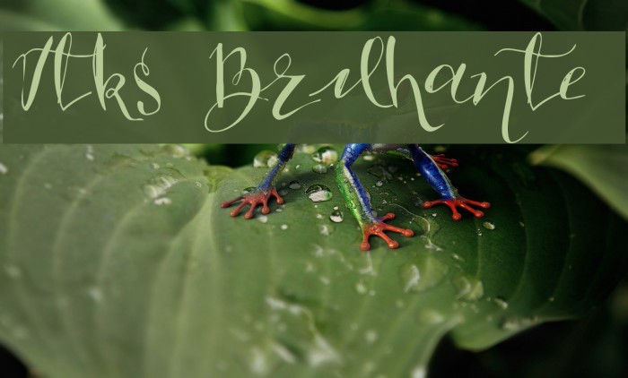Vtks Brilhante 2 Font examples