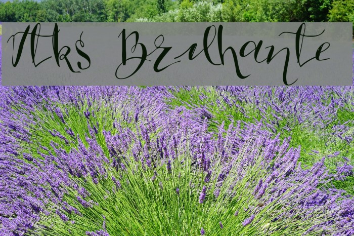 Vtks Brilhante 2 Font examples