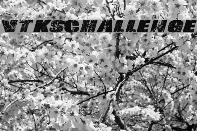 Vtks-Challenge Font examples