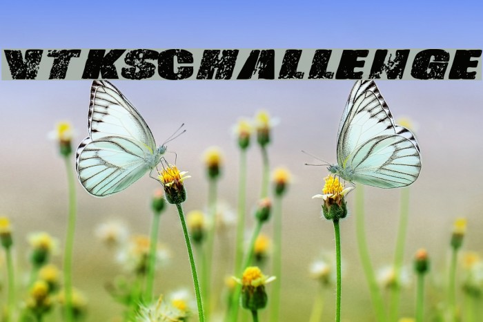 Vtks-Challenge Example 3