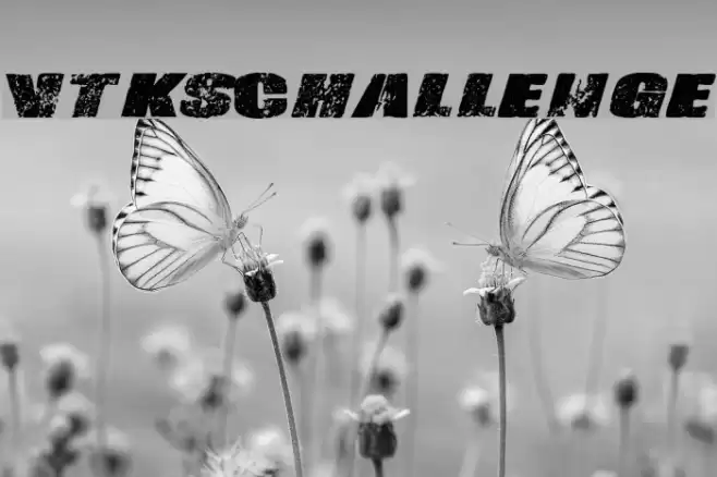 Vtks-Challenge Font examples