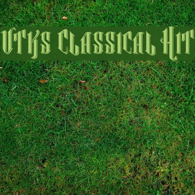 Vtks Classical Hit Example 3