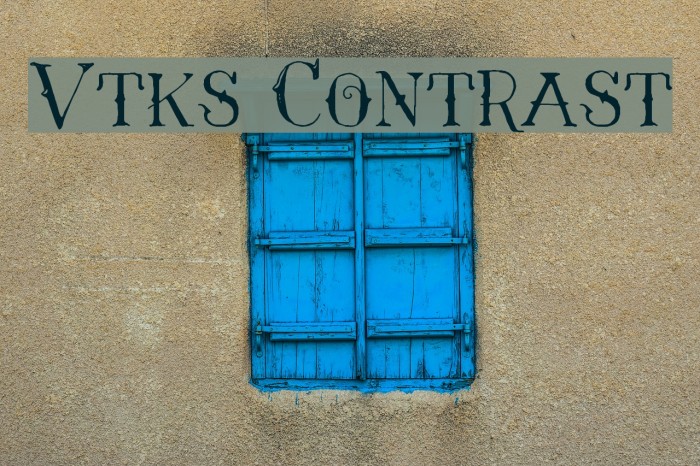 Vtks Contrast Example 1