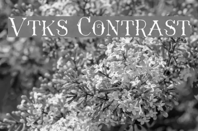 Vtks Contrast Font examples