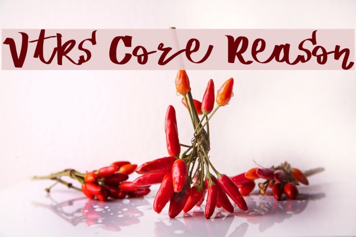 Vtks Core Reason Schriftart examples