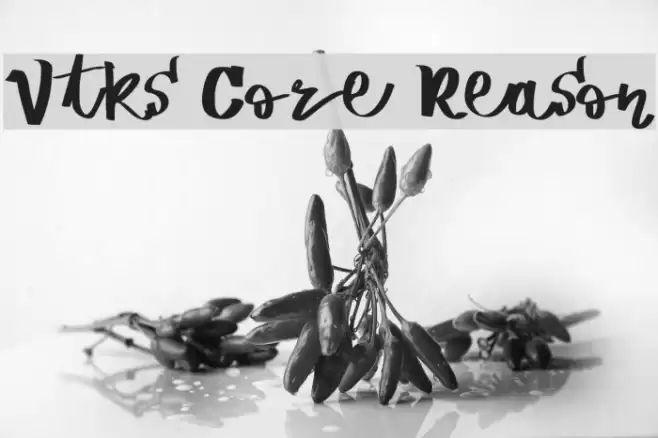 Vtks Core Reason Font examples