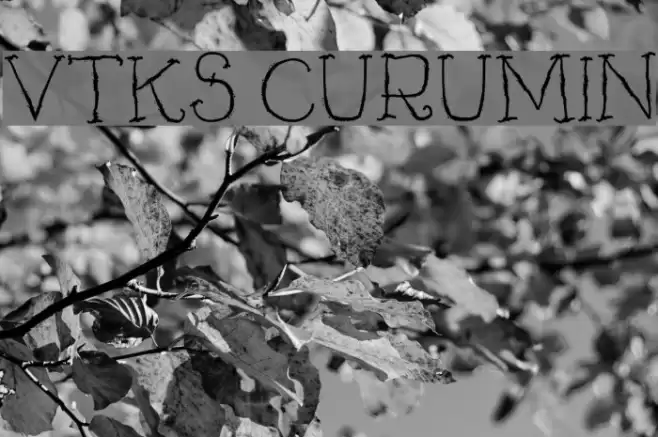 Vtks Curumin Font examples
