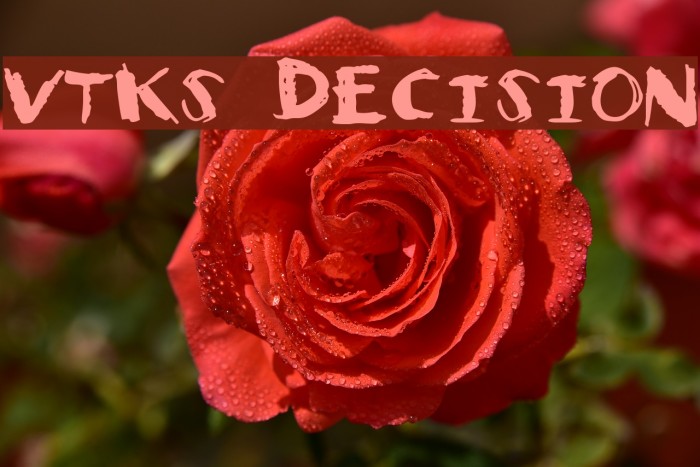 Vtks Decision Font examples