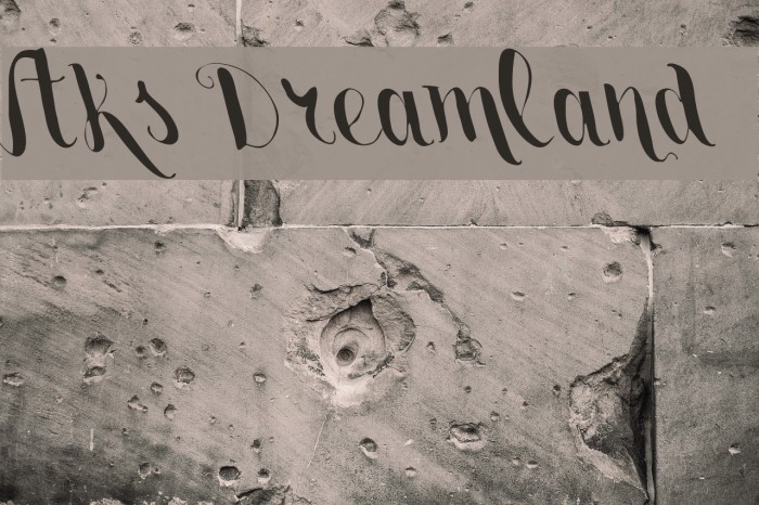 Vtks Dreamland555 Example 2