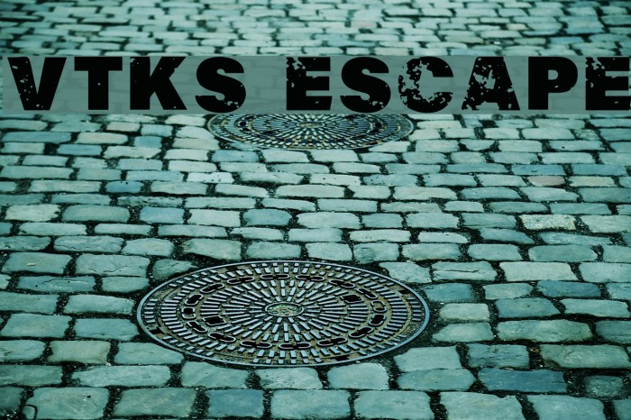 Vtks Escape Example 1