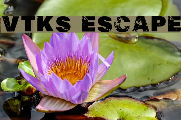 Vtks Escape Example 2