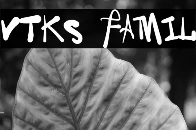 Vtks Family Font examples