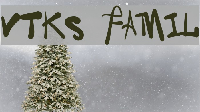Vtks Family Font examples
