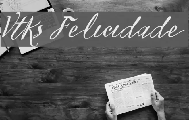 Vtks Felicidade 2016 フォント examples