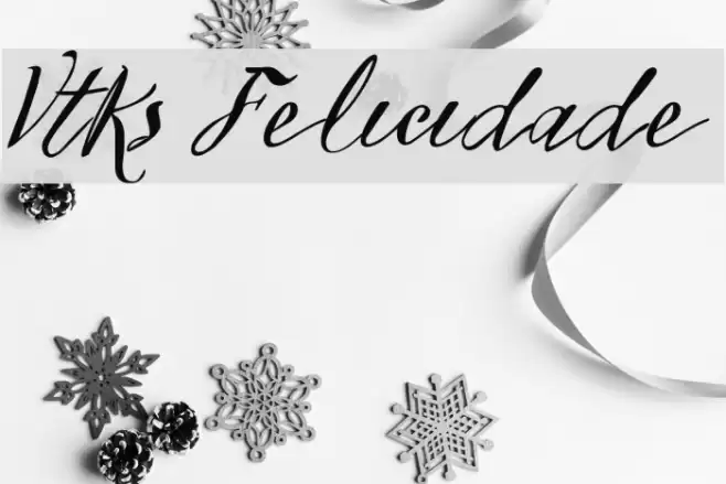 Vtks Felicidade 2016 フォント examples