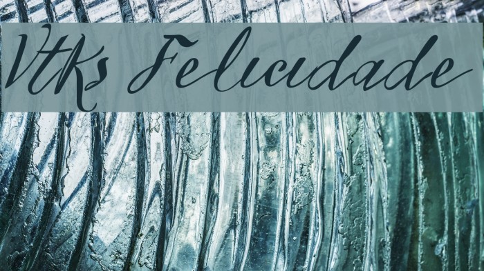 Vtks Felicidade 2016 Font examples