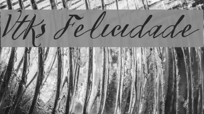 Vtks Felicidade 2016 フォント examples