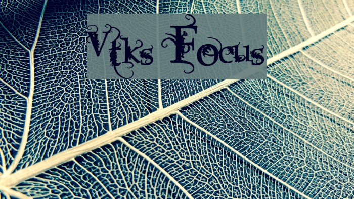 Vtks Focus Font examples