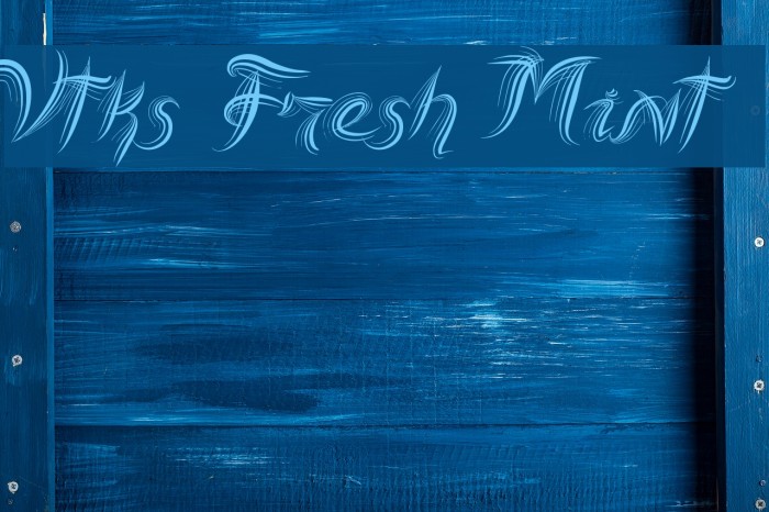 Vtks Fresh Mint Example 1