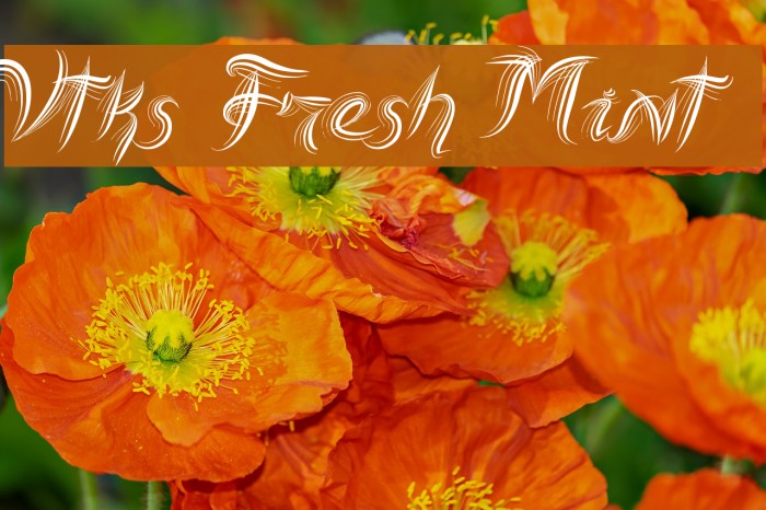 Vtks Fresh Mint Example 3