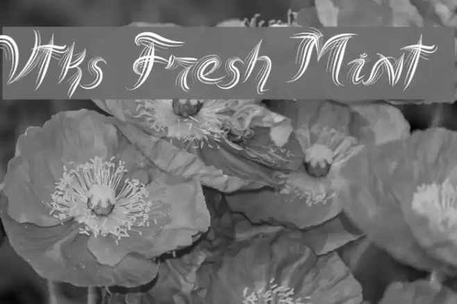 Vtks Fresh Mint Font examples