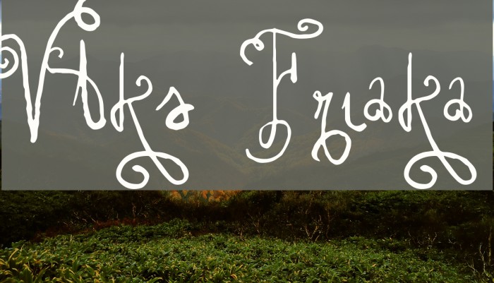Vtks Friaka Font examples