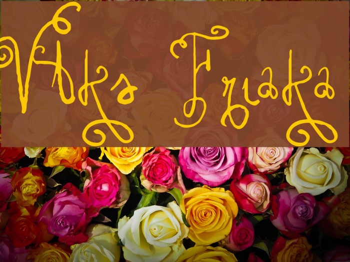 Vtks Friaka Font examples