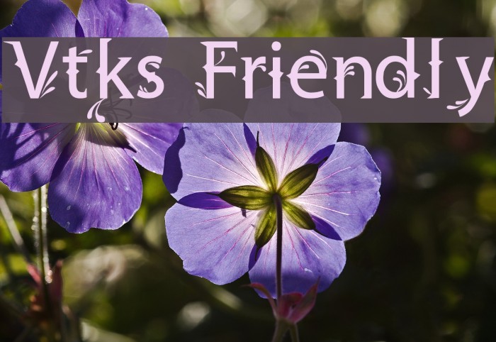 Vtks Friendly Font examples