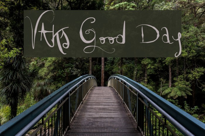 Vtks Good Day Font examples