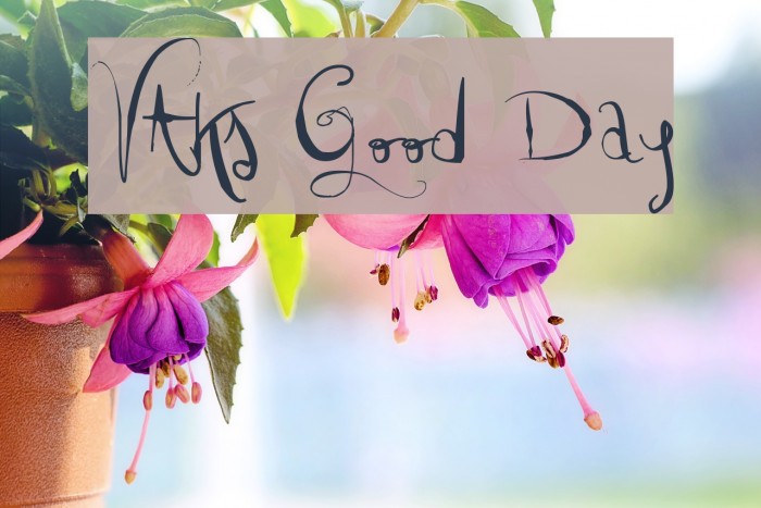 Vtks Good Day Font examples